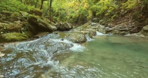 study music, relax, relaxing music, chill sounds, soundscapes, nature sounds